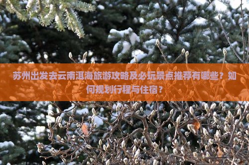 苏州出发去云南洱海旅游攻略及必玩景点推荐有哪些？如何规划行程与住宿？