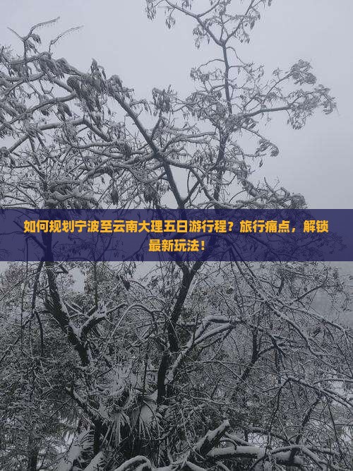 如何规划宁波至云南大理五日游行程？旅行痛点，解锁最新玩法！