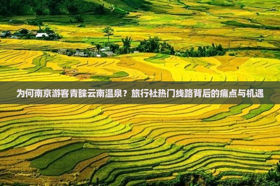 为何南京游客青睐云南温泉？旅行社热门线路背后的痛点与机遇