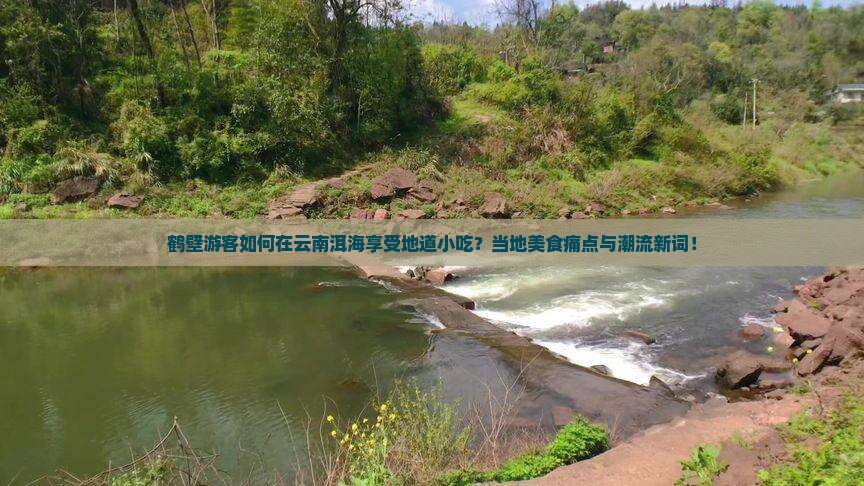 鹤壁游客如何在云南洱海享受地道小吃？当地美食痛点与潮流新词！