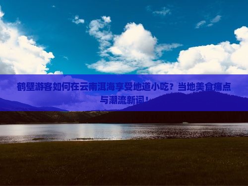 鹤壁游客如何在云南洱海享受地道小吃？当地美食痛点与潮流新词！