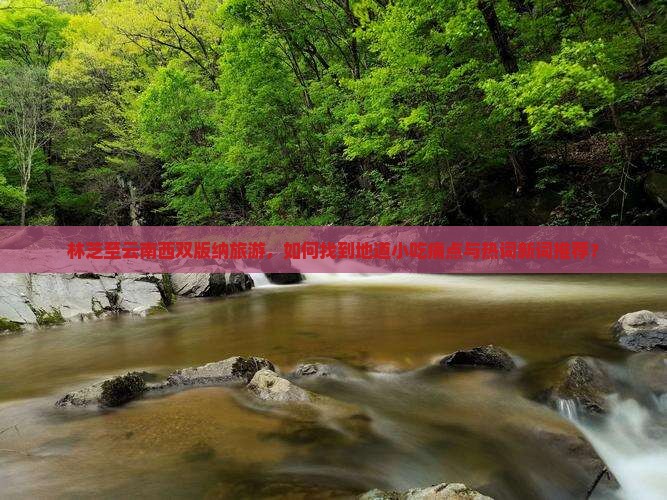 林芝至云南西双版纳旅游，如何找到地道小吃痛点与热词新词推荐？