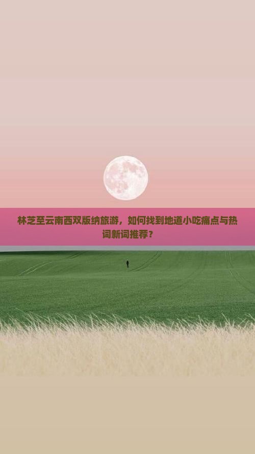 林芝至云南西双版纳旅游，如何找到地道小吃痛点与热词新词推荐？