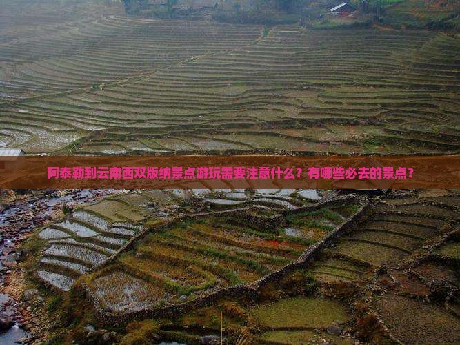 阿泰勒到云南西双版纳景点游玩需要注意什么？有哪些必去的景点？