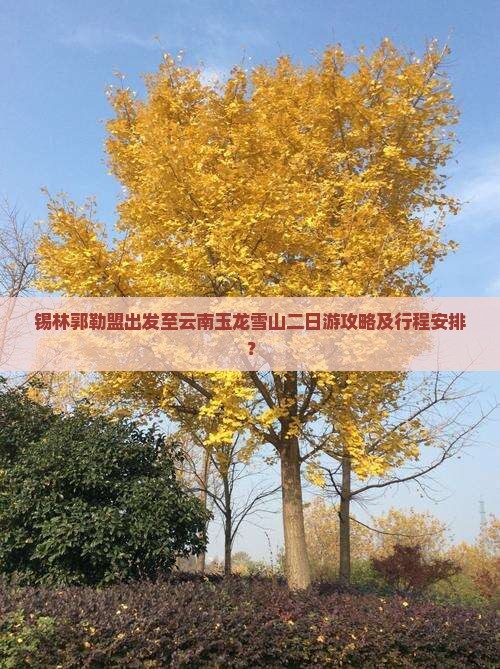 锡林郭勒盟出发至云南玉龙雪山二日游攻略及行程安排？