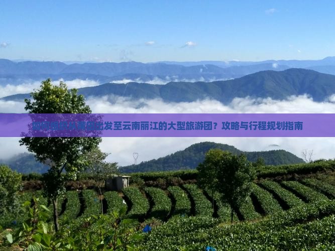 如何组织从莆田出发至云南丽江的大型旅游团？攻略与行程规划指南