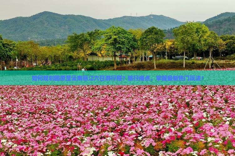 如何规划固原至云南丽江六日游行程？旅行痛点，掌握最新热门玩法！