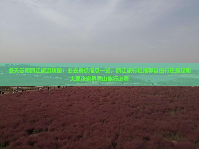 冬天云南丽江旅游攻略：必去景点信息一览，丽江旅行社推荐自由行还是昆明大理张家界雪山旅行必看