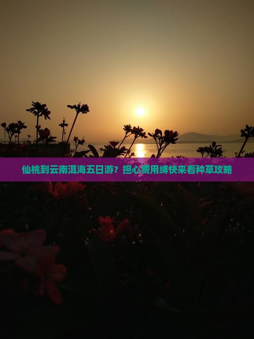 仙桃到云南洱海五日游？担心费用缚快来看种草攻略