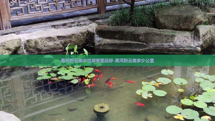 黑河到云南泸沽湖哪里玩好-黑河到云南多少公里