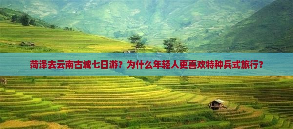 菏泽去云南古城七日游？为什么年轻人更喜欢特种兵式旅行？