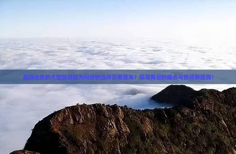 盘锦出发的大型旅游团为何纷纷选择云南洱海？探寻背后的痛点与热词新趋势！