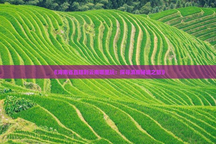 《海南省直辖到云南哪里玩：探寻滇南秘境之旅》