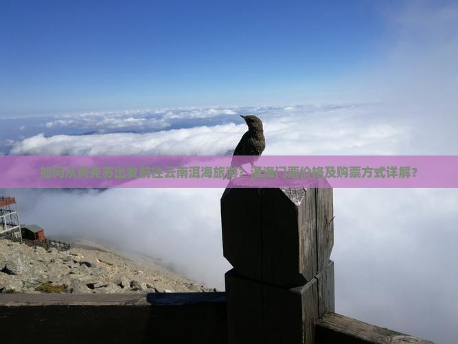 如何从阿克苏出发前往云南洱海旅游？洱海门票价格及购票方式详解？