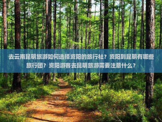去云南昆明旅游如何选择资阳的旅行社？资阳到昆明有哪些旅行团？资阳游客去昆明旅游需要注意什么？