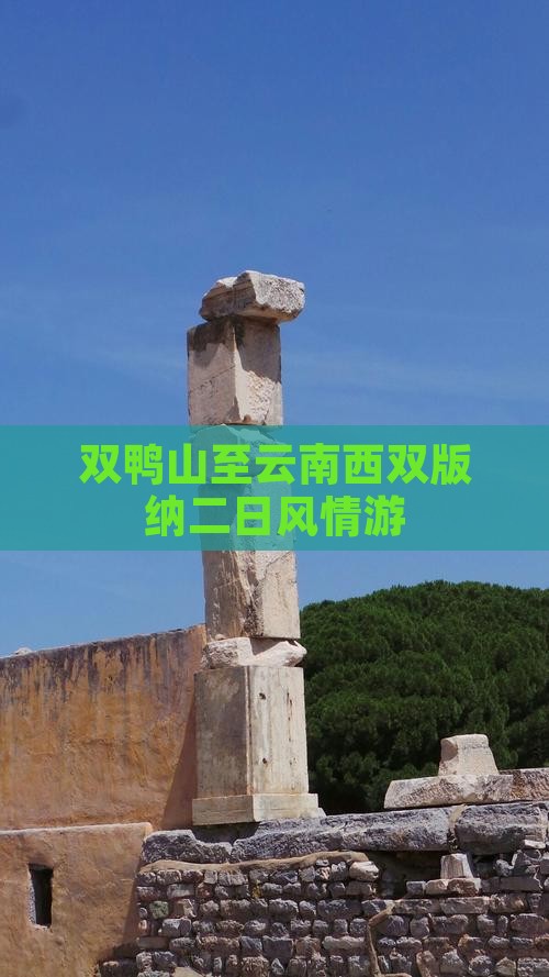 双鸭山至云南西双版纳二日风情游