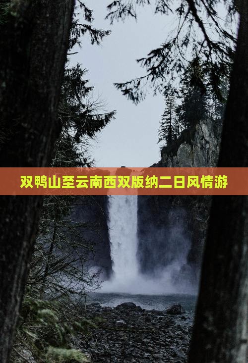 双鸭山至云南西双版纳二日风情游