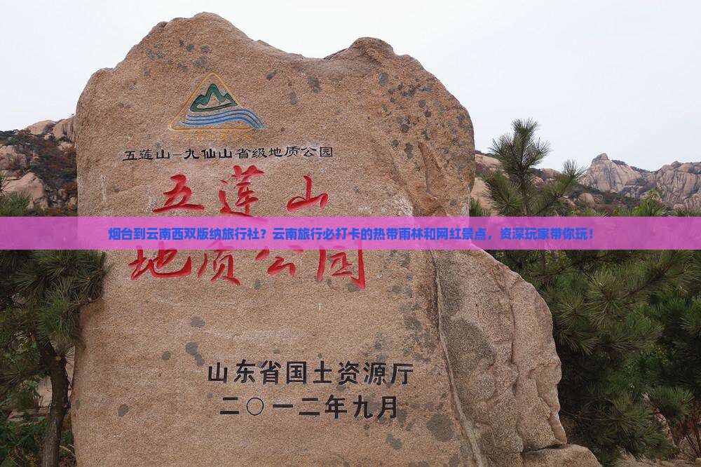 烟台到云南西双版纳旅行社？云南旅行必打卡的热带雨林和网红景点，资深玩家带你玩！