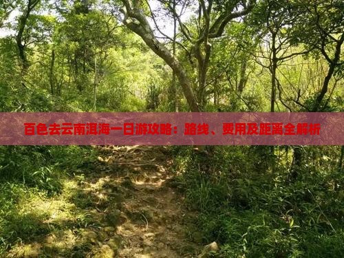 百色去云南洱海一日游攻略：路线、费用及距离全解析