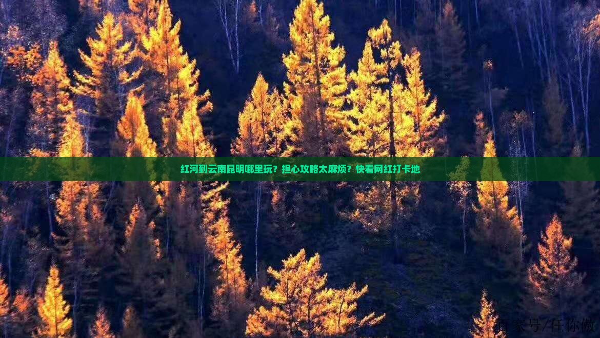 红河到云南昆明哪里玩？担心攻略太麻烦？快看网红打卡地
