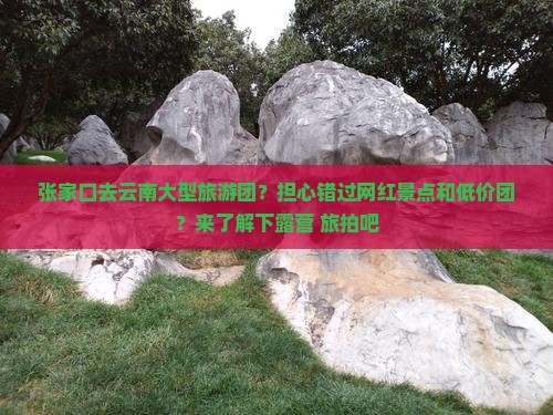 张家口去云南大型旅游团？担心错过网红景点和低价团？来了解下露营+旅拍吧