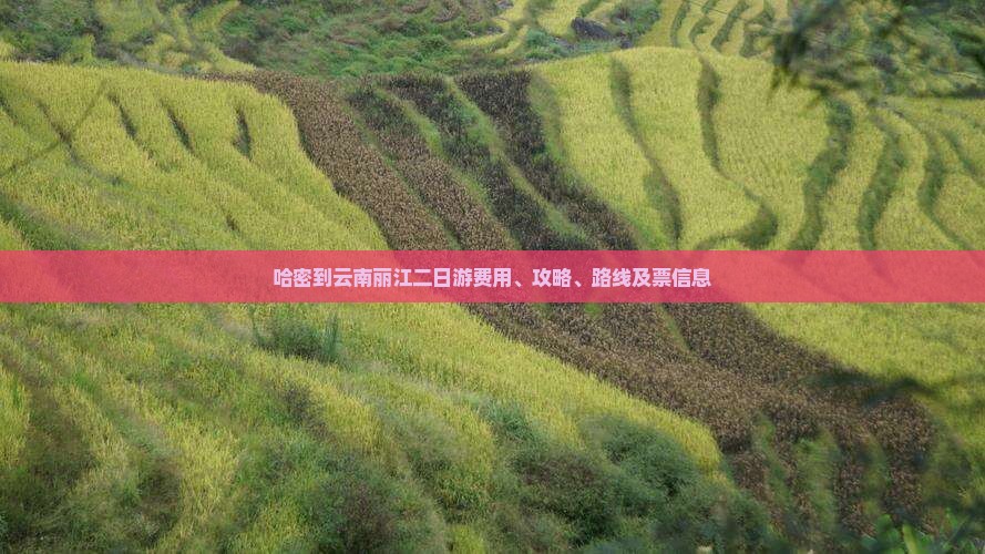 哈密到云南丽江二日游费用、攻略、路线及票信息