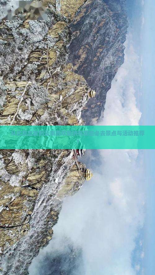 从北京出发到云南西双版纳有哪些必去景点与活动推荐？