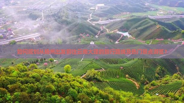 如何规划从扬州出发前往云南大理的旅行路线及热门景点游览？