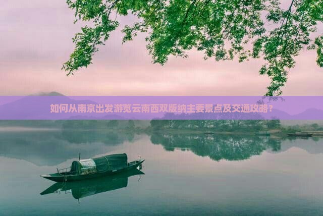 如何从南京出发游览云南西双版纳主要景点及交通攻略？