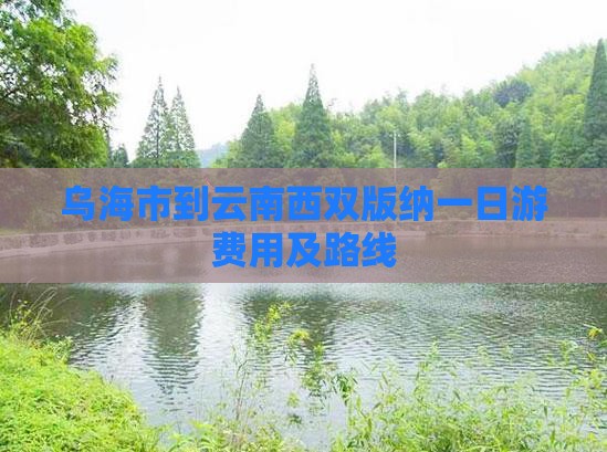 乌海市到云南西双版纳一日游费用及路线