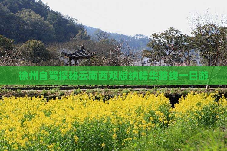 徐州自驾探秘云南西双版纳精华路线一日游