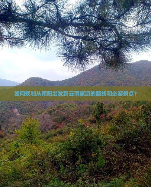 如何规划从南阳出发到云南旅游的路线和必游景点？