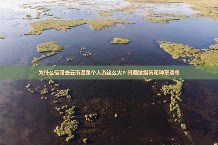 为什么信阳去云南温泉个人游这么火？附避坑指南和种草清单