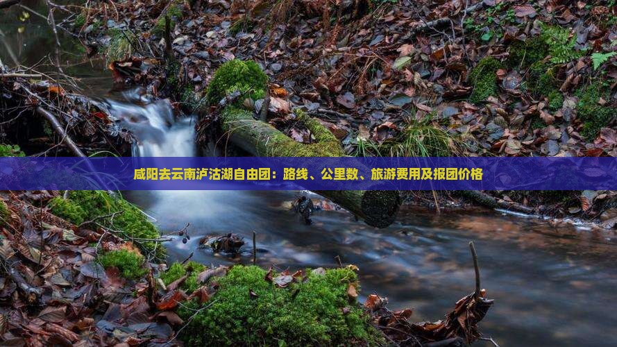 咸阳去云南泸沽湖自由团：路线、公里数、旅游费用及报团价格