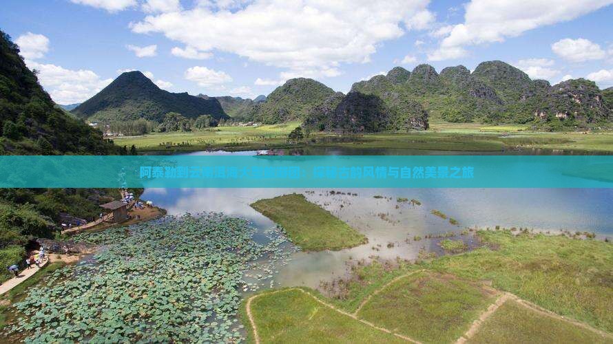 阿泰勒到云南洱海大型旅游团：探秘古韵风情与自然美景之旅