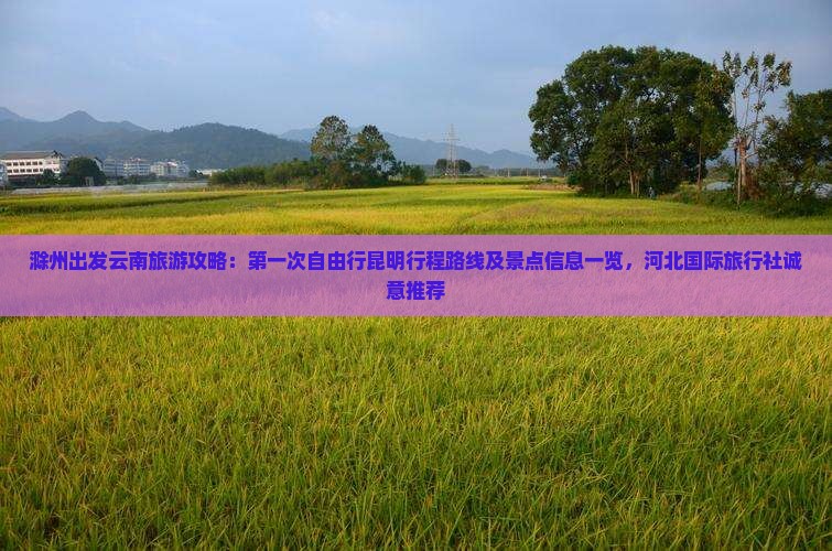 滁州出发云南旅游攻略：第一次自由行昆明行程路线及景点信息一览，河北国际旅行社诚意推荐