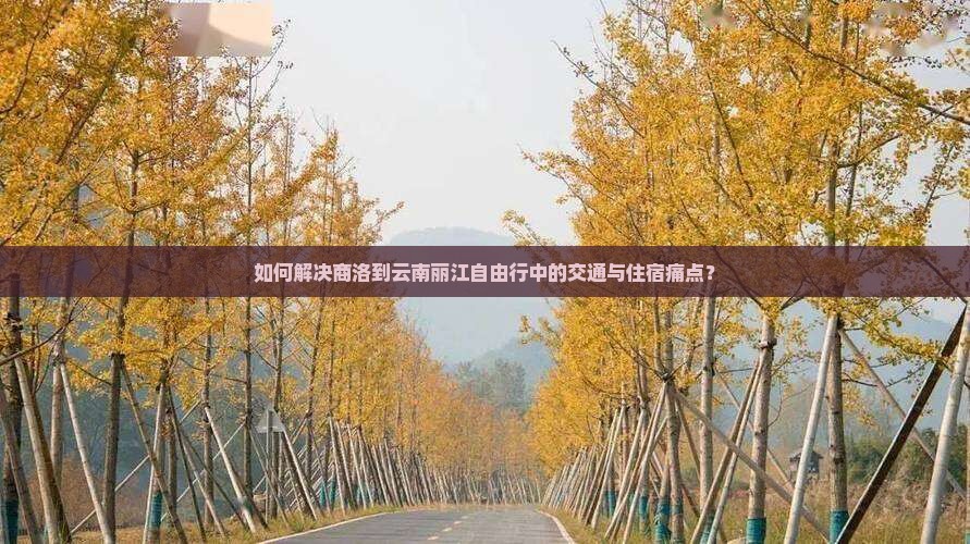 如何解决商洛到云南丽江自由行中的交通与住宿痛点？