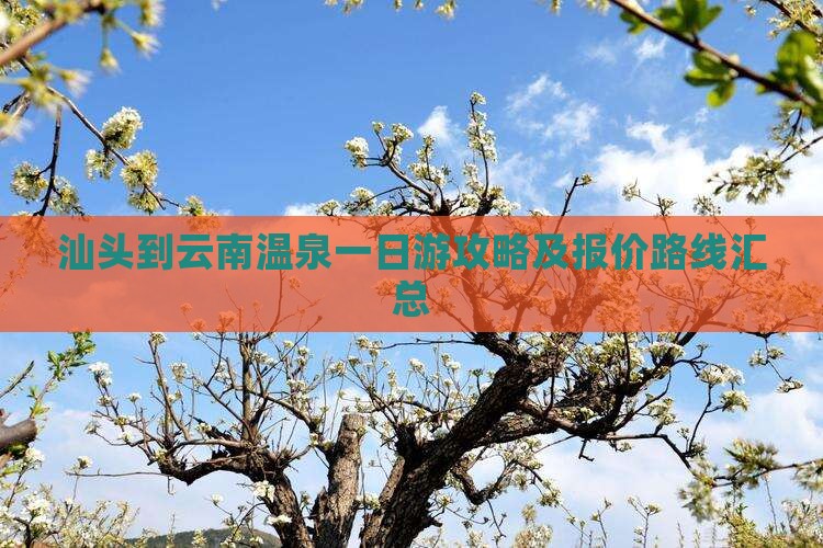 汕头到云南温泉一日游攻略及报价路线汇总