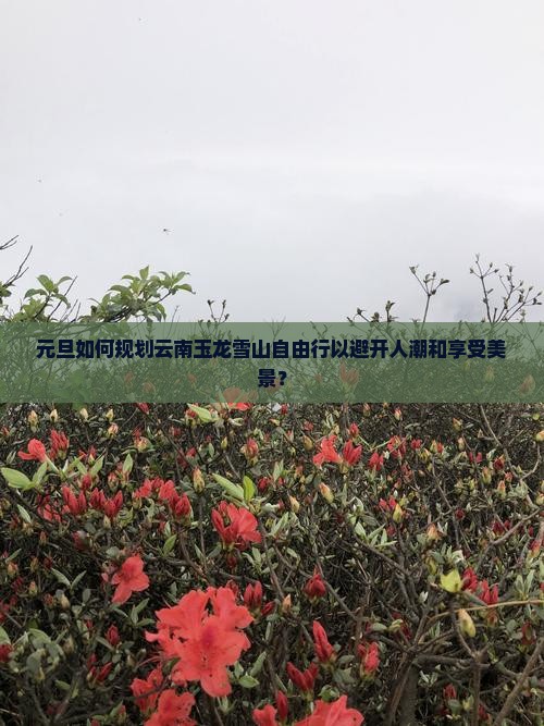 元旦如何规划云南玉龙雪山自由行以避开人潮和享受美景？