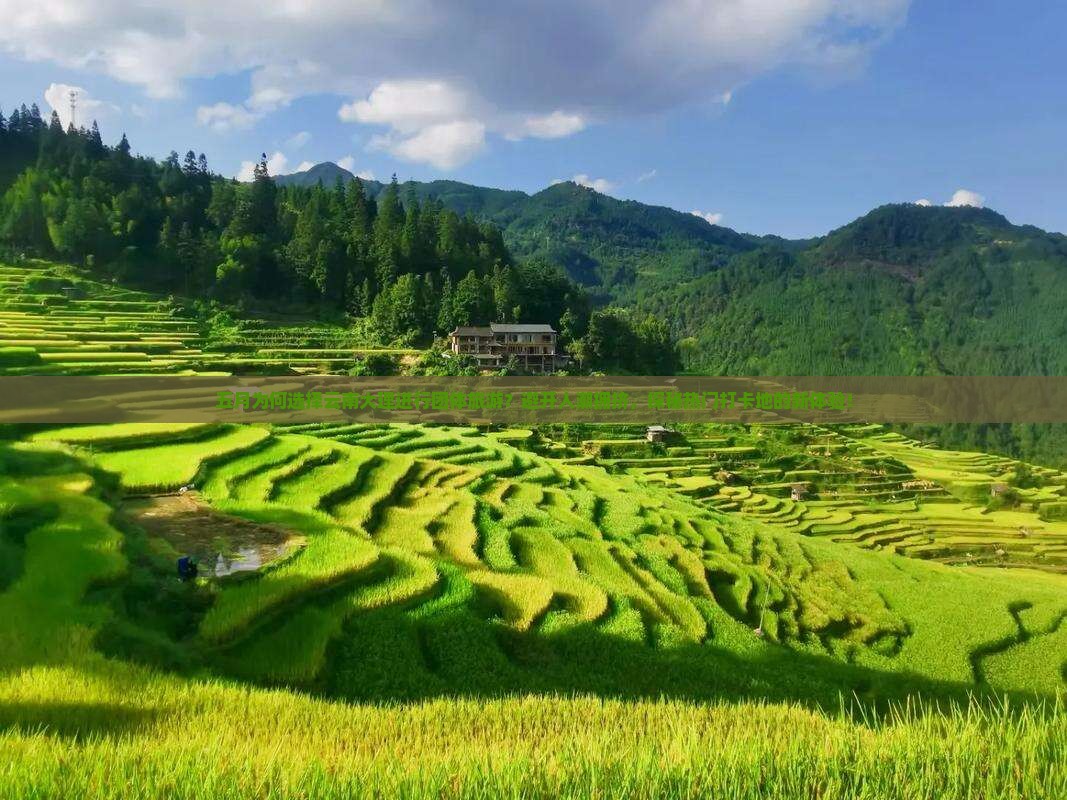 五月为何选择云南大理进行团体旅游？避开人潮拥挤，探秘热门打卡地的新体验！