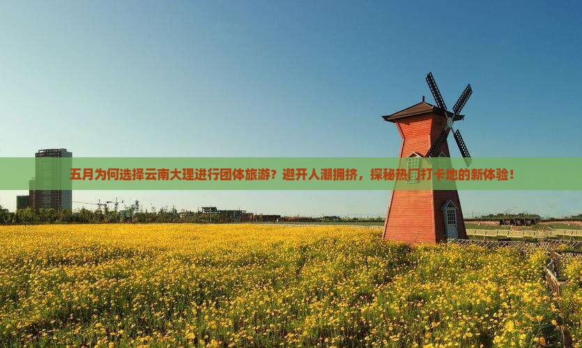 五月为何选择云南大理进行团体旅游？避开人潮拥挤，探秘热门打卡地的新体验！