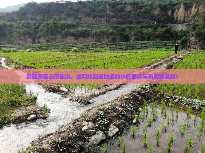 黔西南至云南旅游，如何找到最地道的小吃痛点与热词新趋势？