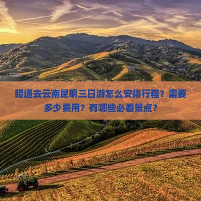 昭通去云南昆明三日游怎么安排行程？需要多少费用？有哪些必看景点？