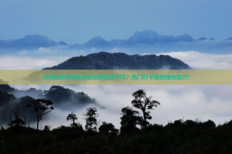 为何张家界游客非去云南洱海不可？热门打卡地的独特魅力！