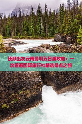 抚顺出发云南昆明五日游攻略：一次看遍国际旅行社精选景点之旅