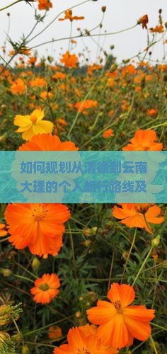 如何规划从清徐到云南大理的个人旅行路线及行程？