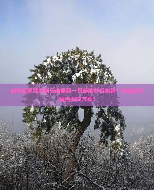 如何实现萍乡到云南昆明一日游的梦幻旅程？快速出行痛点解决方案！