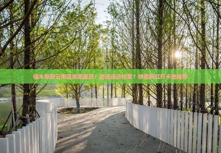 佳木斯到云南温泉哪里玩？路途遥远怕累？快看网红打卡地推荐
