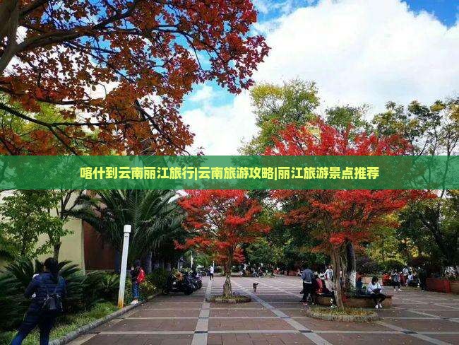 喀什到云南丽江旅行|云南旅游攻略|丽江旅游景点推荐