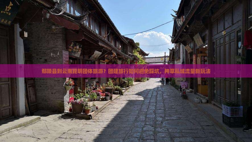 鄢陵县到云南昆明团体旅游？团建旅行如何避免踩坑，种草私域流量新玩法